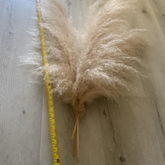 Dried pampas grass 3 pcs tall bohemian‎ fall festival home Decor natural - Picture 6 of 6